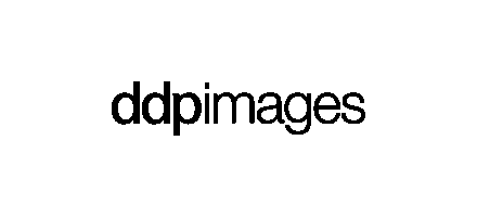 picturemaxx-dam ddpimages logo sw
