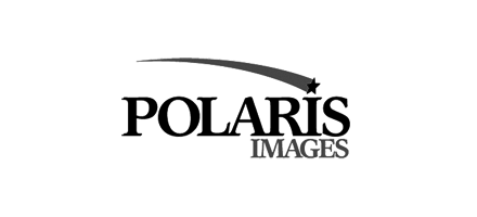 picturemaxx-dam polaris logo sw