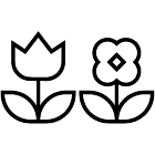 loesungen-bildrecherche-wann-unterschied-vielfalt-icon