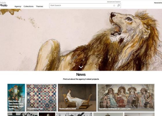 Darstellung der Website von RMN