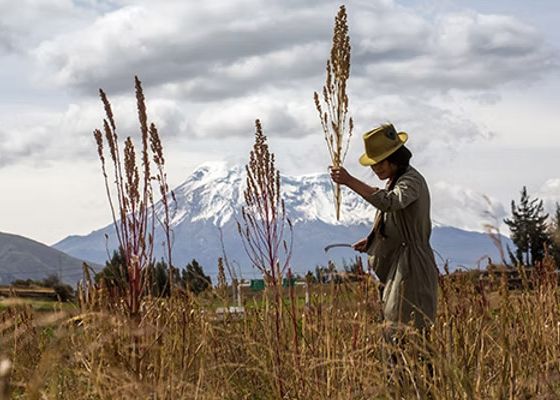 Invenatrio Documental neu in my-picturemaxx