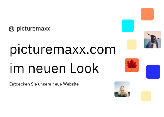 picturemaxxcom-im-neuen-look-header