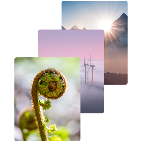 Solutions - who picturemaxx it's for, Multipic